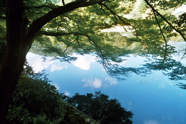 etang
